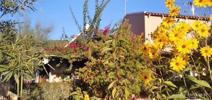 Apartment Spiti Lou